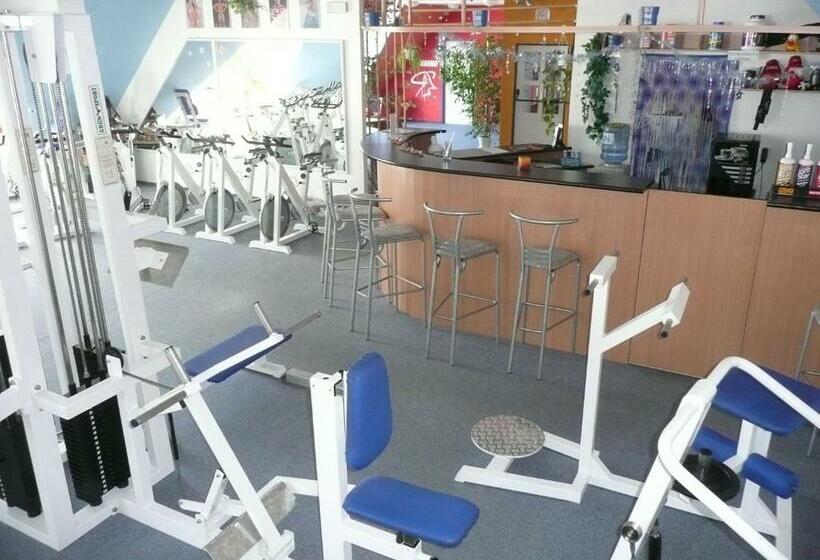 膳宿费 Penzion Bolatice