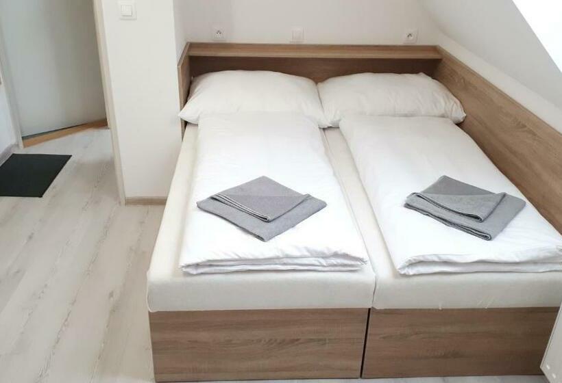 膳宿费 Penzion Bolatice