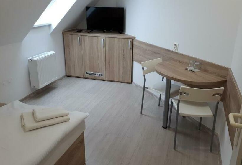 膳宿费 Penzion Bolatice