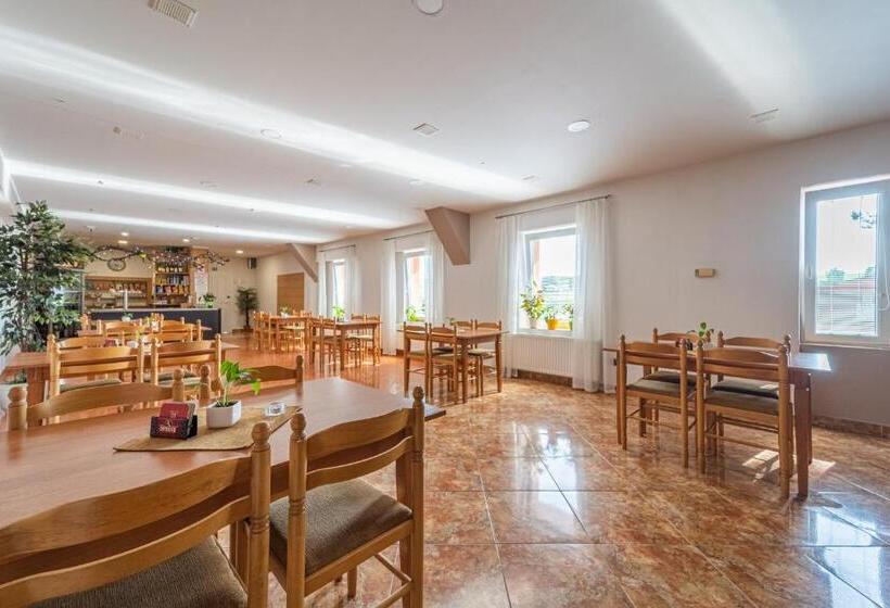 膳宿费 Penzion Bolatice