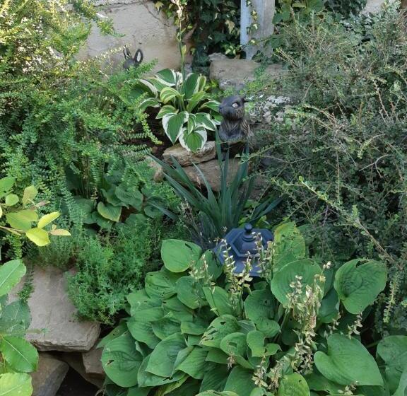 צימר къща за гости матеви