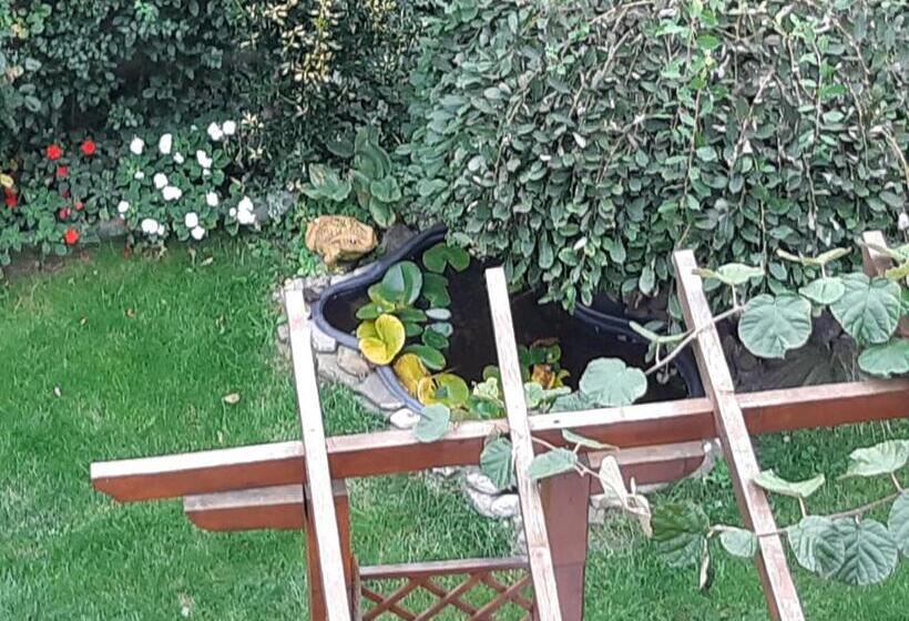 צימר къща за гости матеви