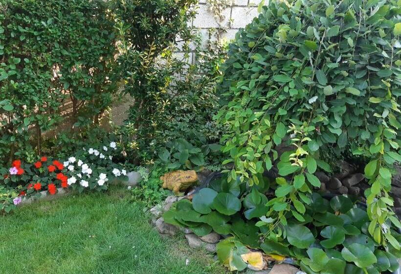 צימר къща за гости матеви