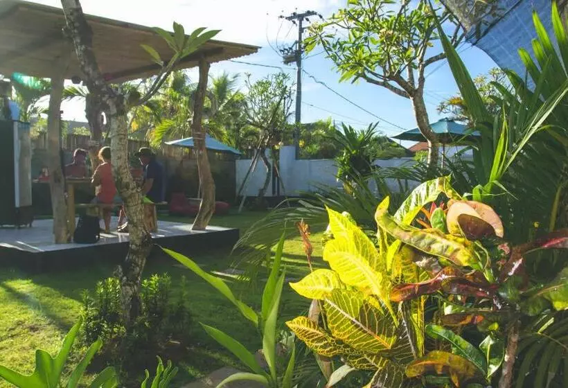 ペンション Taju Guest House
