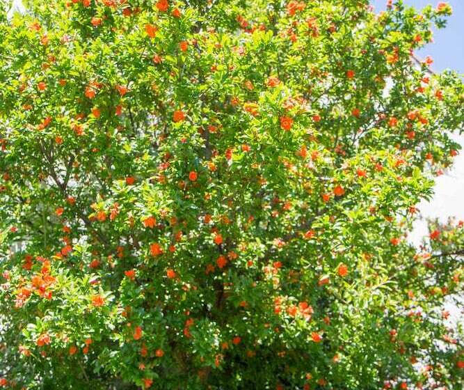 فندق Bed & Breakfast Casa Mariuccia