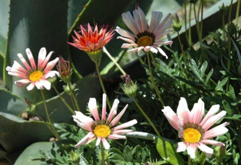 فندق B&b  Villa Coste D Or