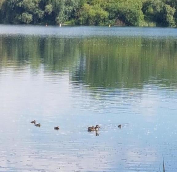 Ferienwohnungen Und Zimmer In Nordhausen