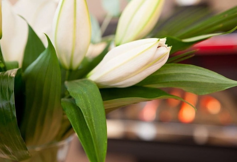 فندق Heads Nook Hall Cottage