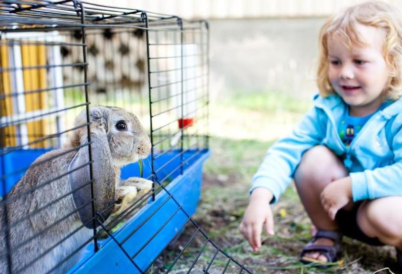 ホテル Resort Naaranlahti