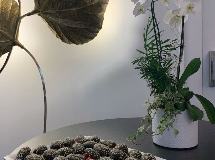 בית מלון כפרי Hôtel Côté Sud Léman