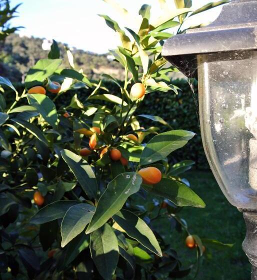 酒店 Le Relais Des Chartreuses