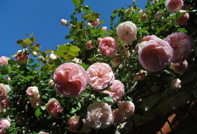 酒店 Le Relais Des Chartreuses