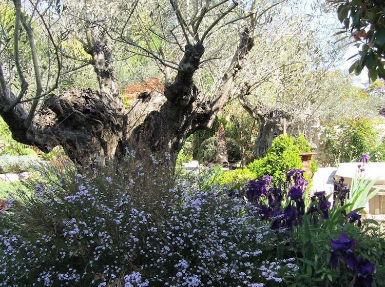 בית מלון כפרי Les Rosées
