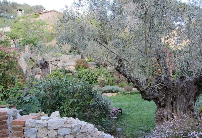 בית מלון כפרי Les Rosées