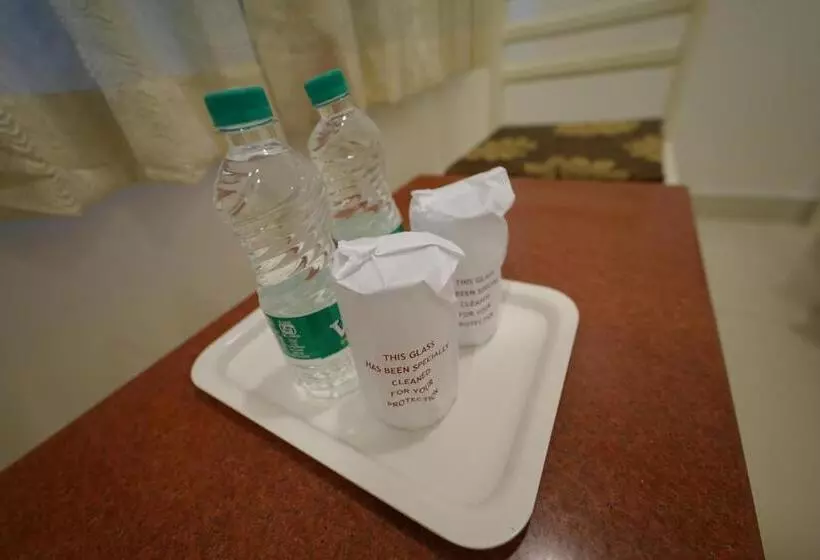 ホテル Palmyra Grand Inn