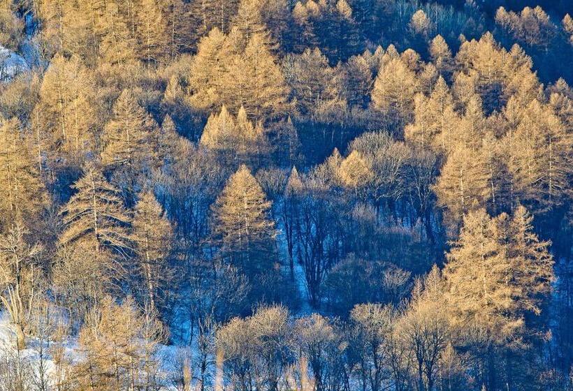 בית מלון כפרי Rock Noir & Spa