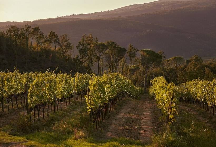 호텔 Tenuta San Vito In Fior Di Selva