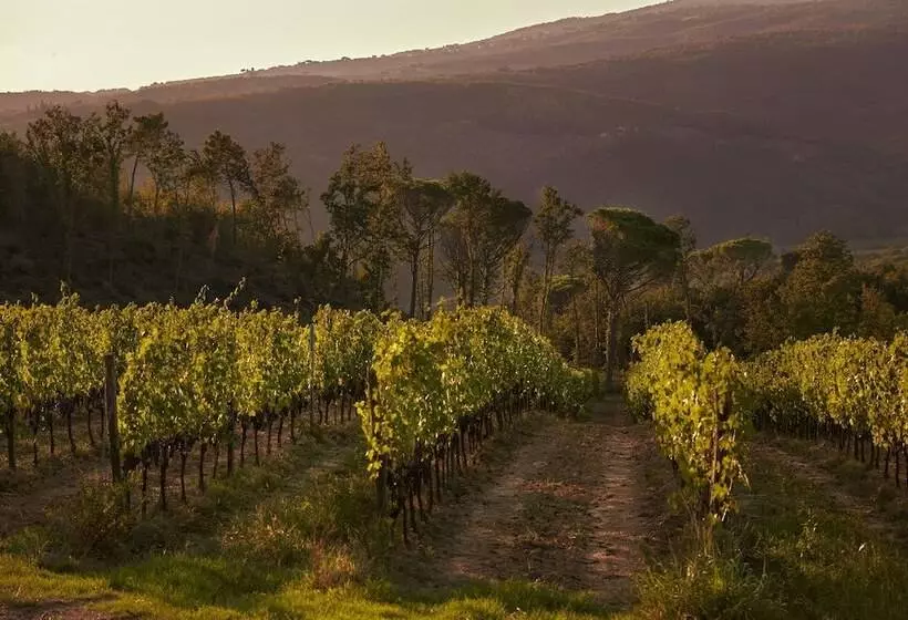 ホテル Tenuta San Vito In Fior Di Selva