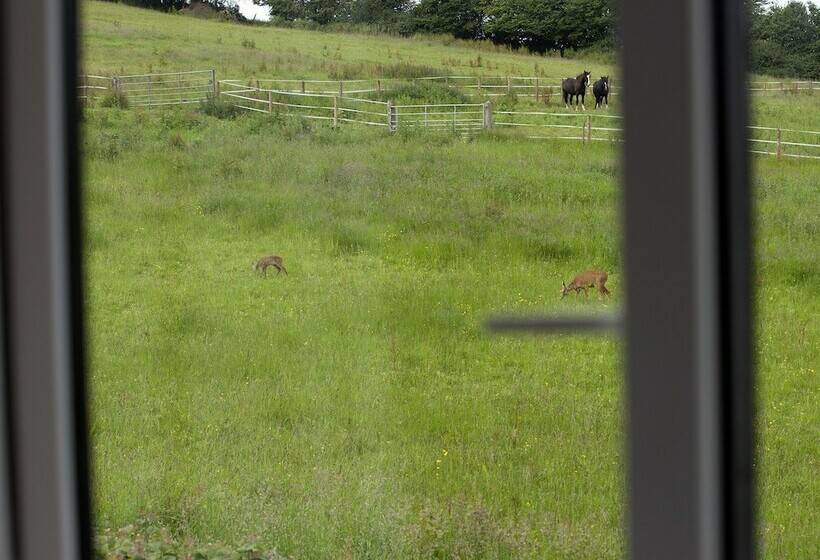 בית מלון כפרי The Old Malt House