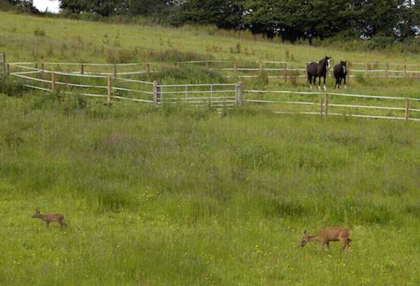 בית מלון כפרי The Old Malt House