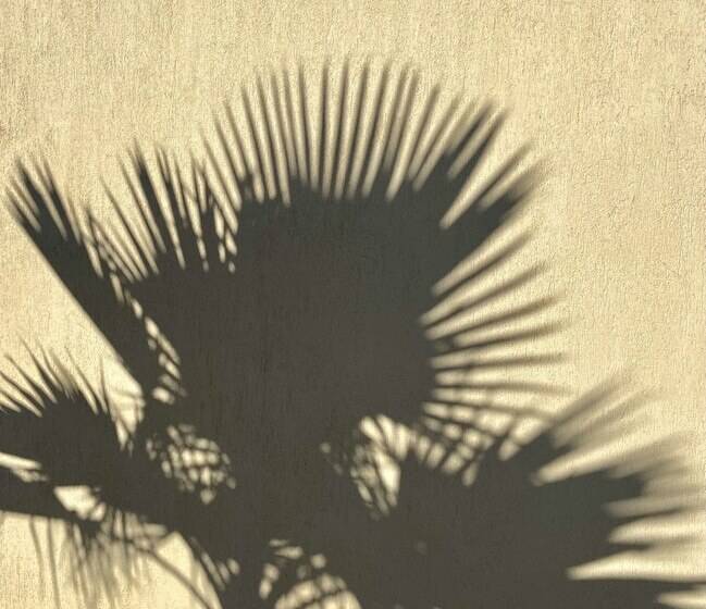 هتل Toile Blanche