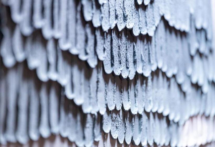 Отель Aria Life