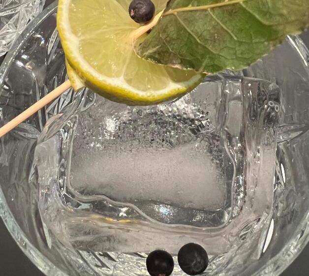 Отель Lech Da Sompunt