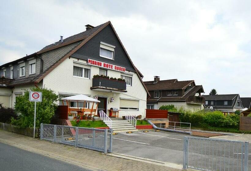 فندق Pension Rote Rosen