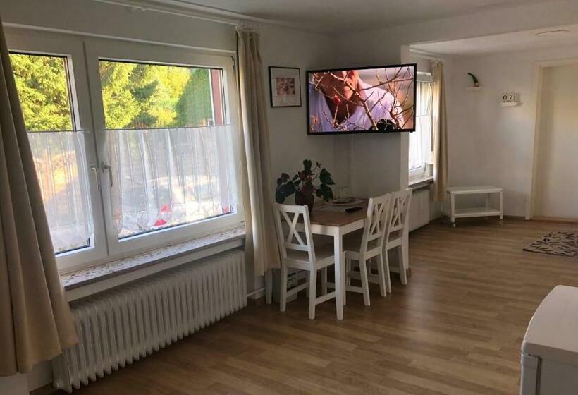 فندق Pension Rote Rosen