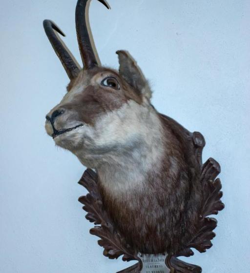 Отель La Villa Della Regina