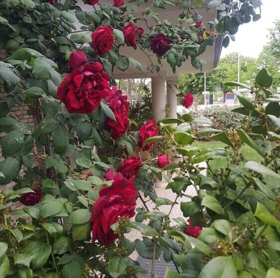 בית מלון כפרי Villa Gioia Rooms