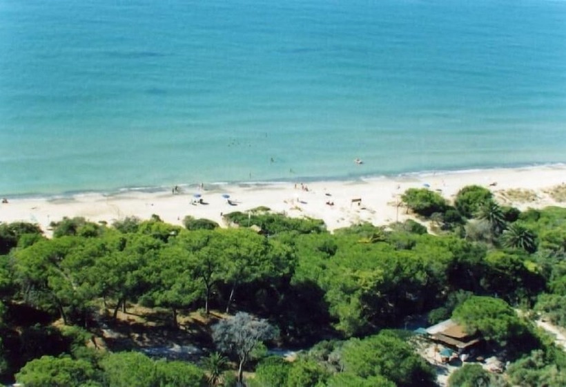 Отель Villaggio Turistico Airone