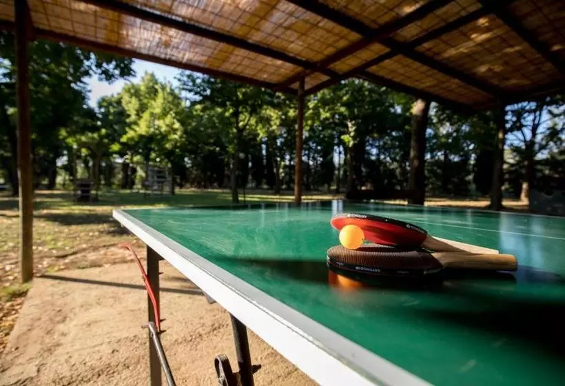 ホテル Agriturismo Pometti   Fattoria La Selva