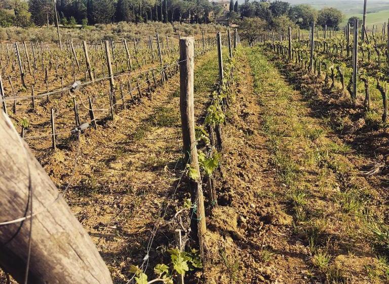 فندق Agriturismo Pometti Fattoria La Selva