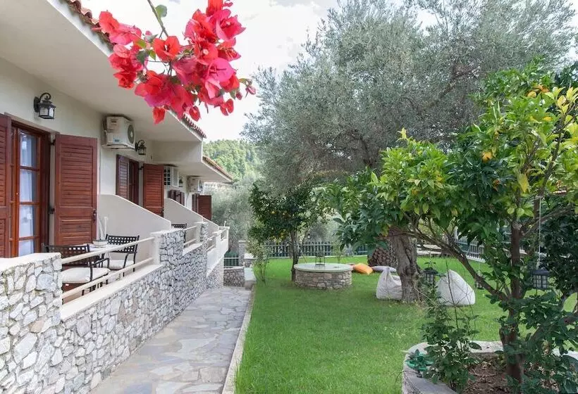 Hotel Alexia Studios