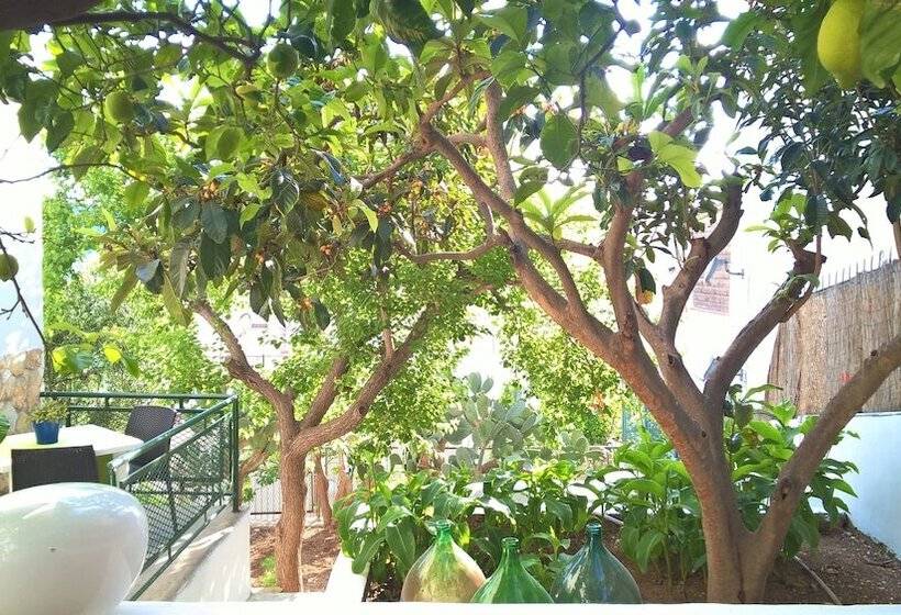 Отель B&b E Case Vacanza   La Rosa Dei Venti