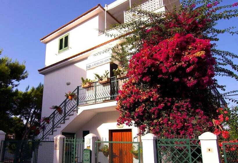 Отель B&b E Case Vacanza   La Rosa Dei Venti