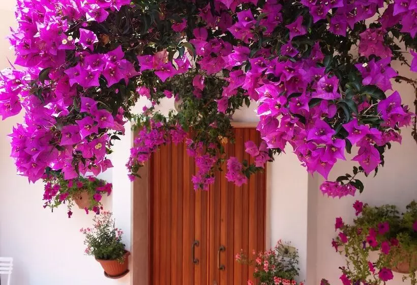 هتل B&b E Case Vacanza   La Rosa Dei Venti