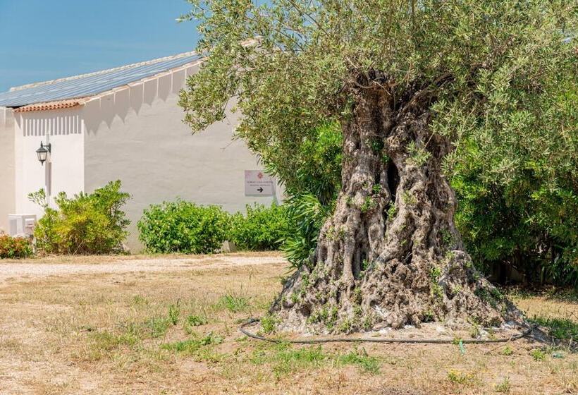 호텔 Borgo Alba Barona Turismo Rurale