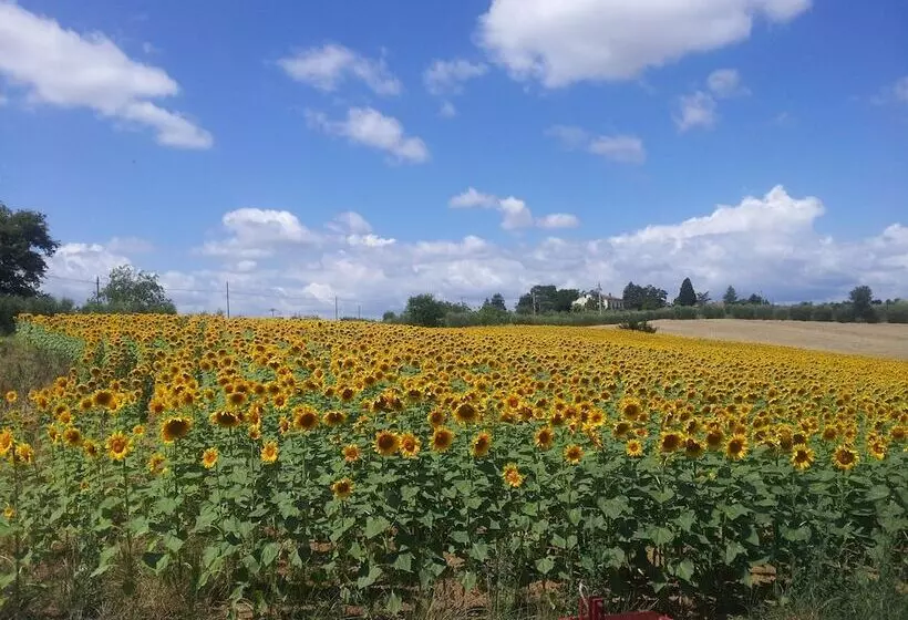 هتل Il Gelso Di Mario