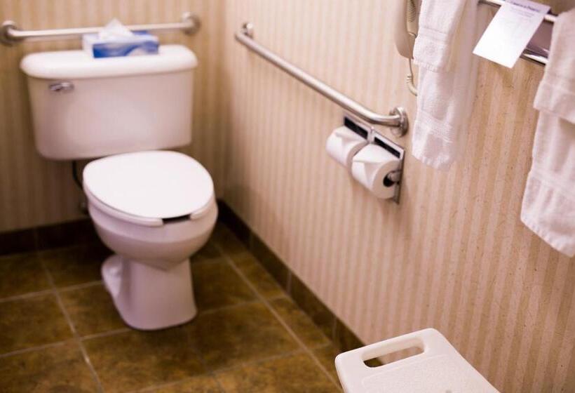 בית מלון כפרי Peavine Inn And Suites High Prairie