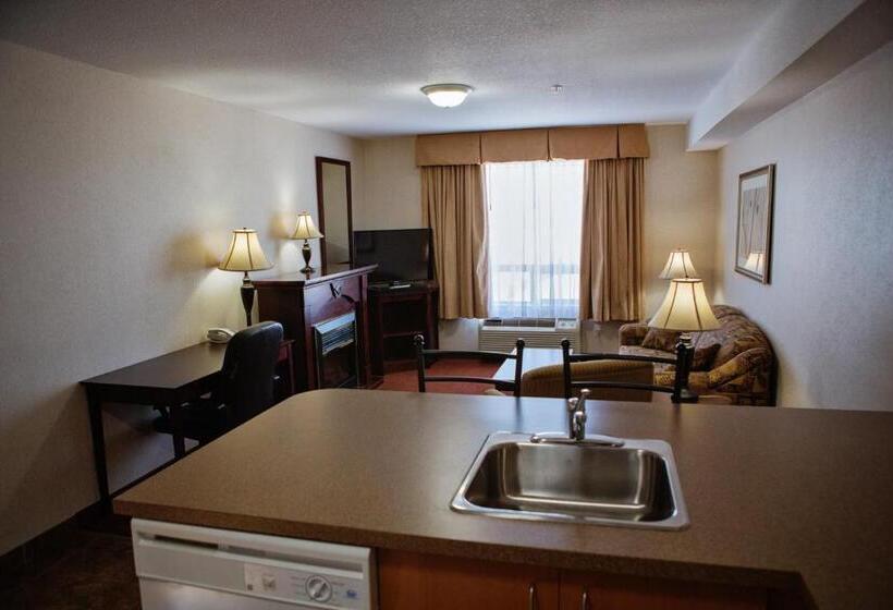 בית מלון כפרי Peavine Inn And Suites High Prairie