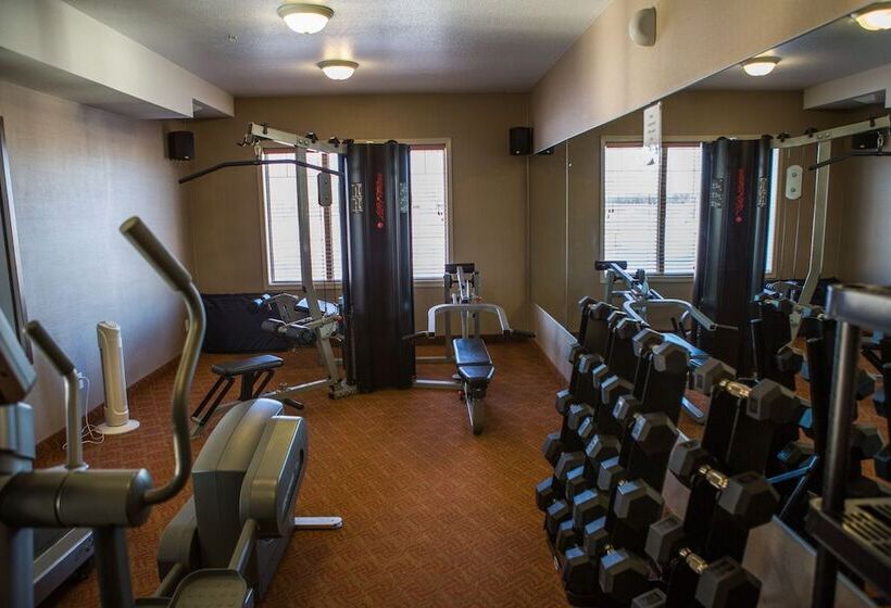 בית מלון כפרי Peavine Inn And Suites High Prairie