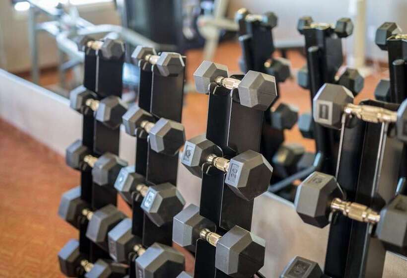 בית מלון כפרי Peavine Inn And Suites High Prairie