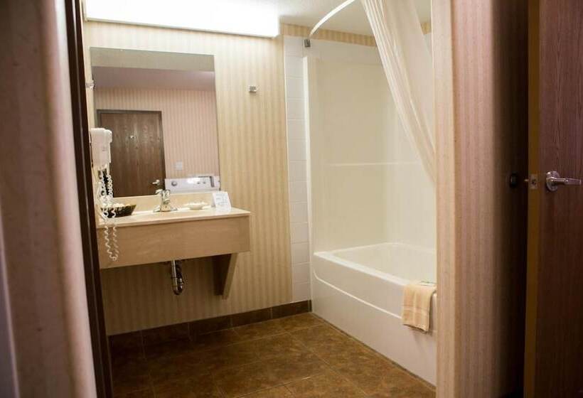 בית מלון כפרי Peavine Inn And Suites High Prairie