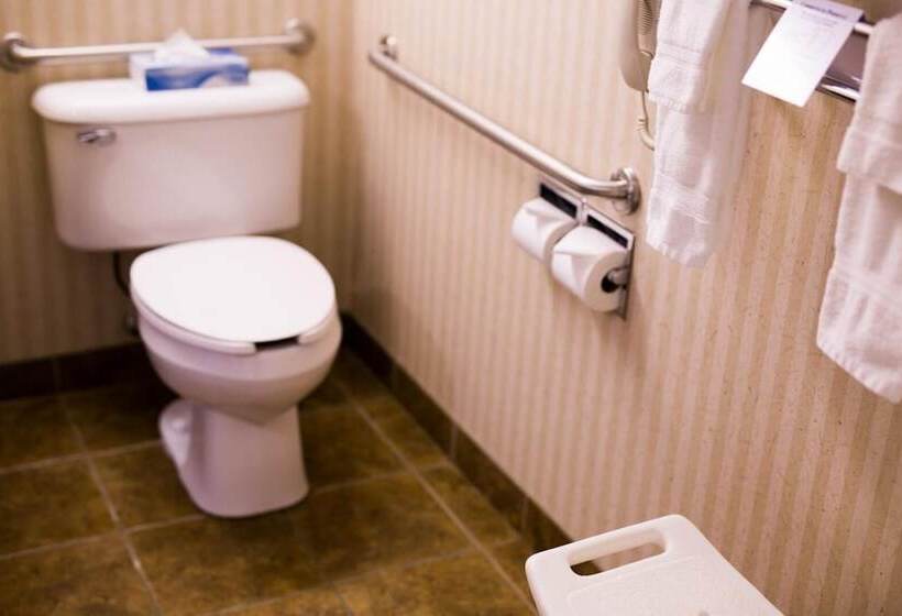 בית מלון כפרי Peavine Inn And Suites High Prairie