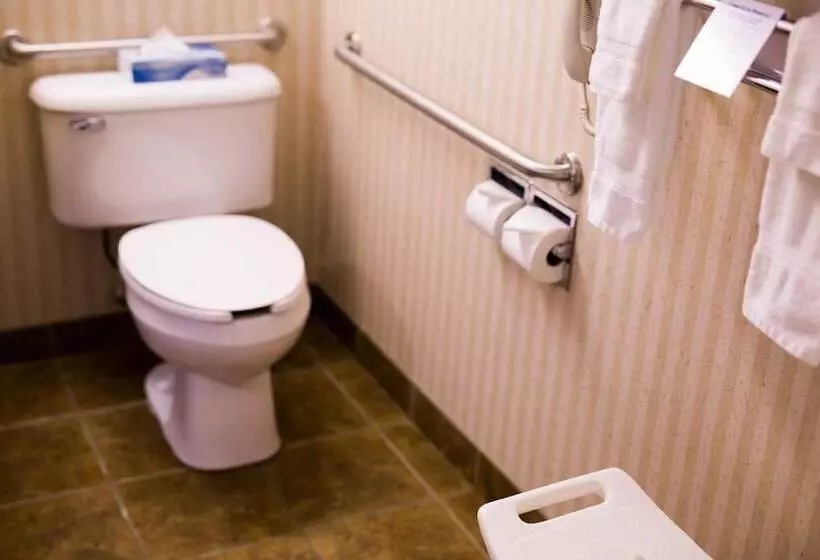 Hotelli Peavine Inn And Suites High Prairie