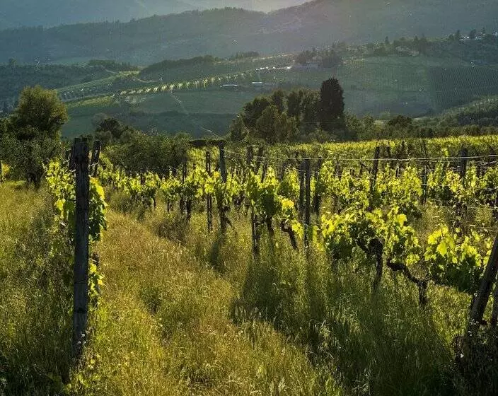 Hotelli Agriturismo Fattoria Lavacchio