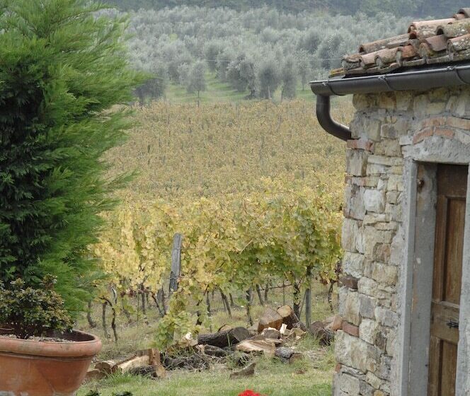 فندق Agriturismo Fattoria Lavacchio