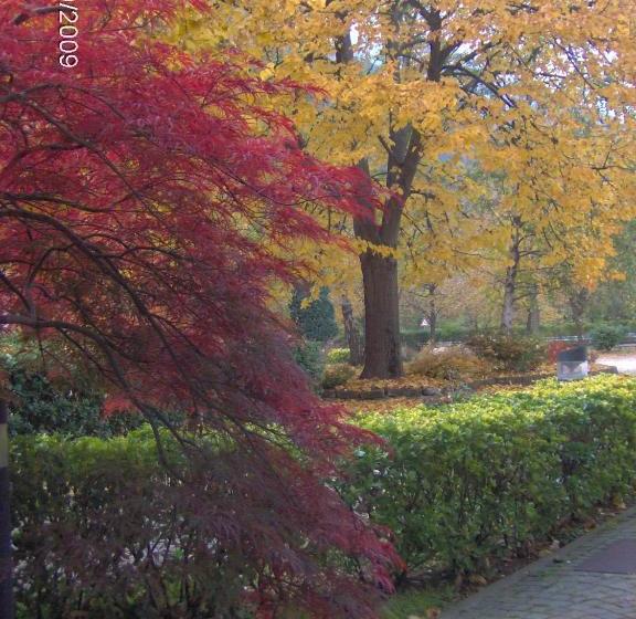 בית מלון כפרי Albergo Ristorante Cima I Pra